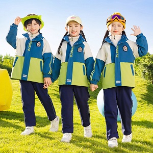 为什么学?；嵫≡癯宸嬉伦魑７? title=