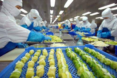 食品行业工作服定制