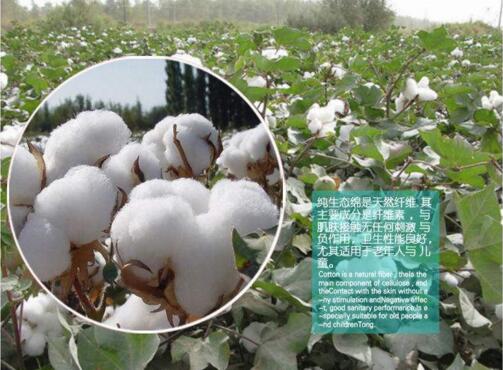 纯棉工作服定做