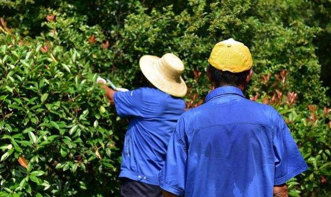 吸湿透气的夏季工作服定做